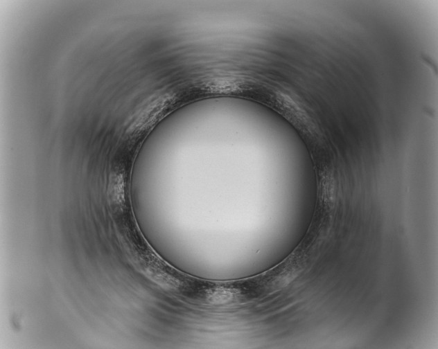 X0000101180549200807071248