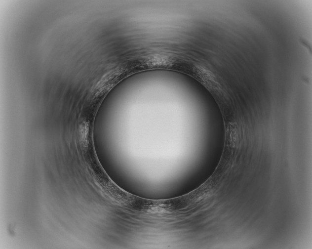 X0000101180550200807071248