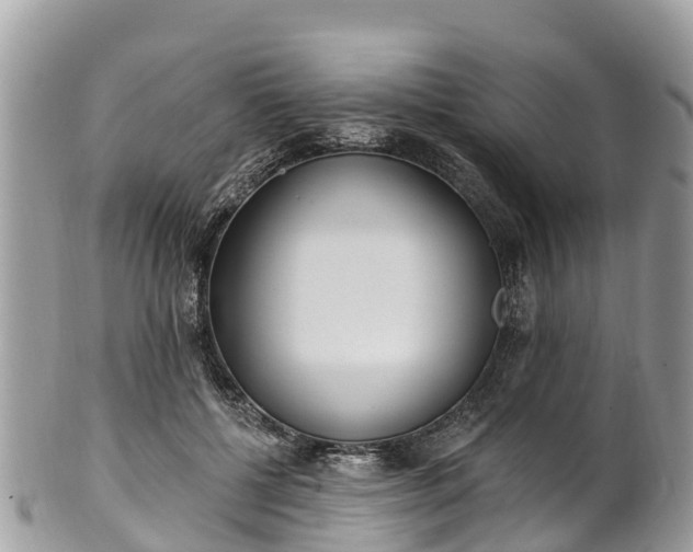 X0000101180552200807071248