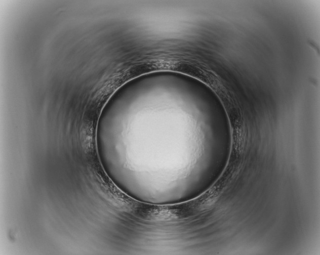 X0000101180553200807071248
