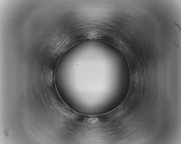 X0000101180554200807071248
