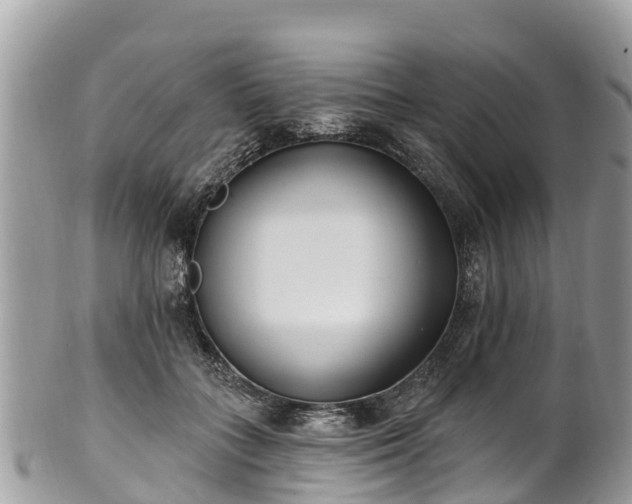 X0000101180555200807071248
