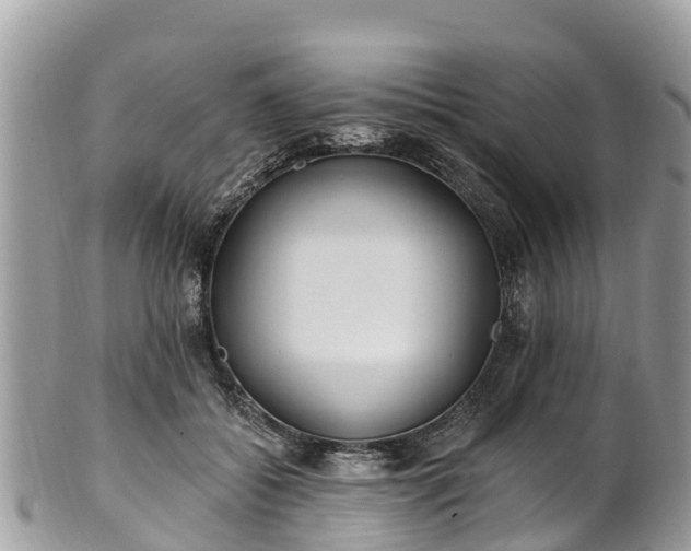 X0000101180556200807071248