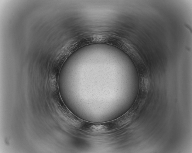 X0000101180557200807071248
