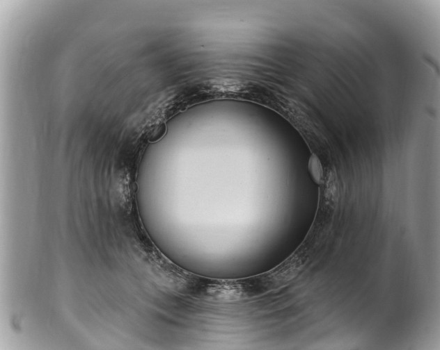 X0000101180559200807071248