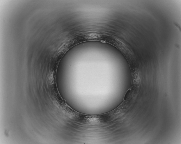 X0000101180560200807071248