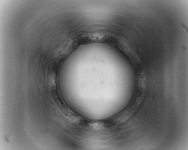 X0000101180561200807071248