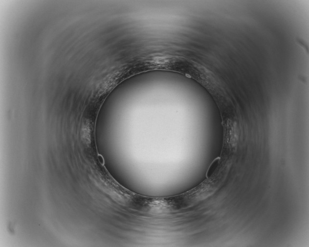 X0000101180562200807071248