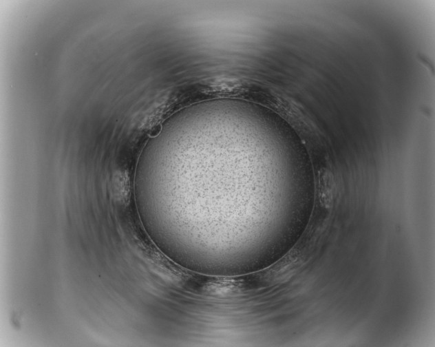 X0000101180563200807071248