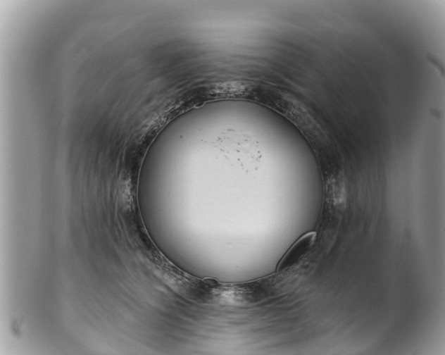X0000101180564200807071248