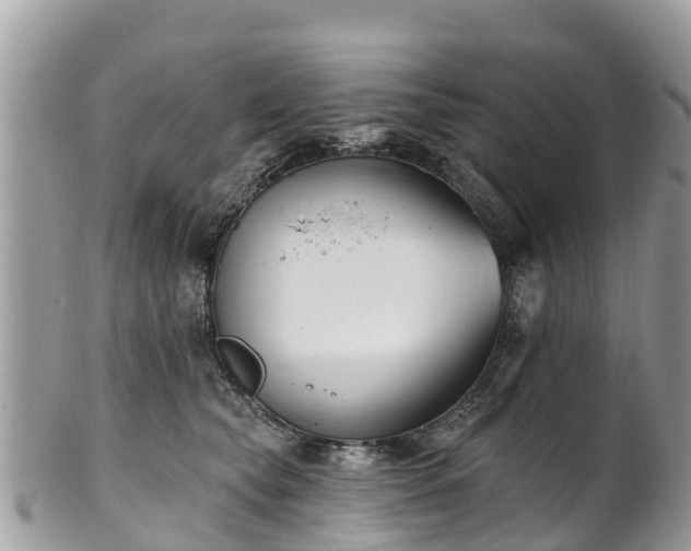 X0000101180565200807071248