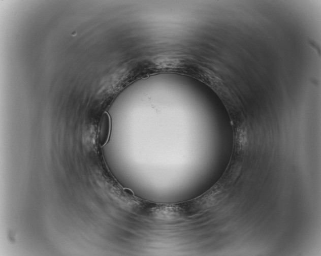 X0000101180567200807071248