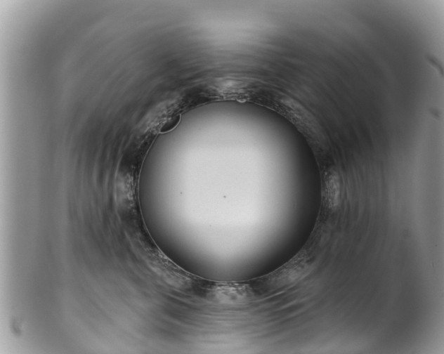 X0000101180571200807071248
