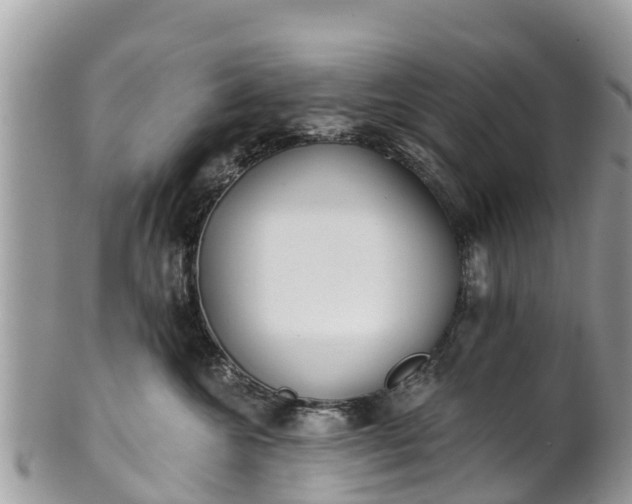X0000101180572200807071248