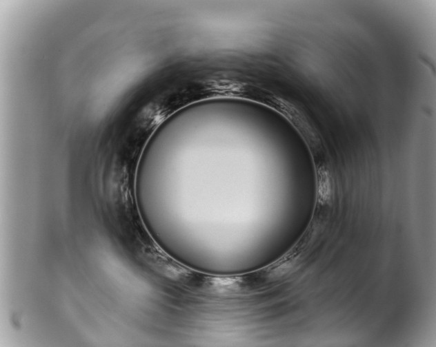 X0000101180573200807071248