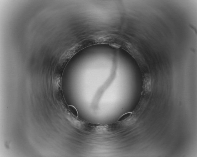 X0000101180574200807071248