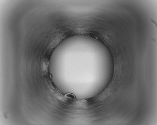 X0000101180576200807071248