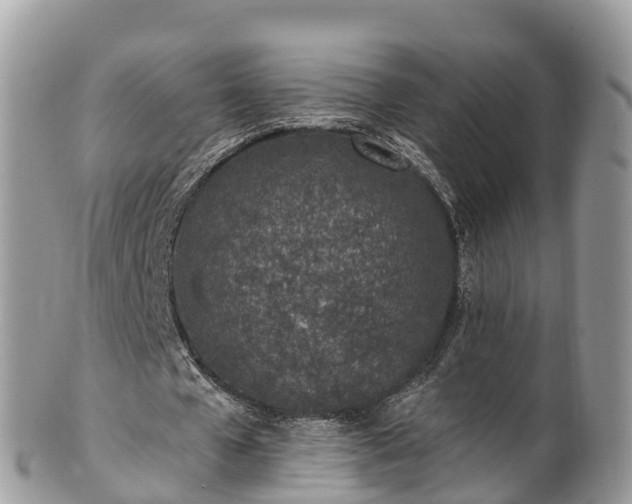 X0000101180577200807071247