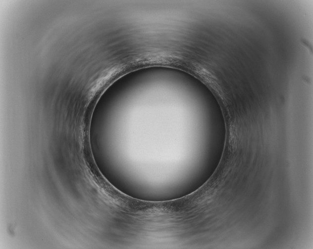X0000101180578200807071247