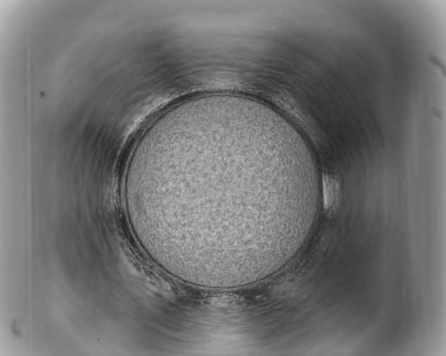X0000101180579200807071247