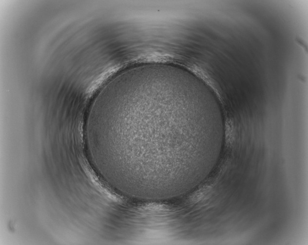 X0000101180581200807071247