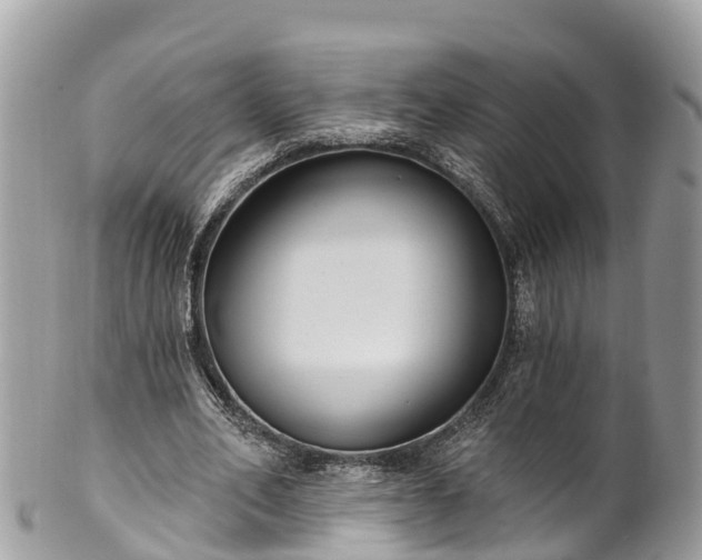 X0000101180582200807071247