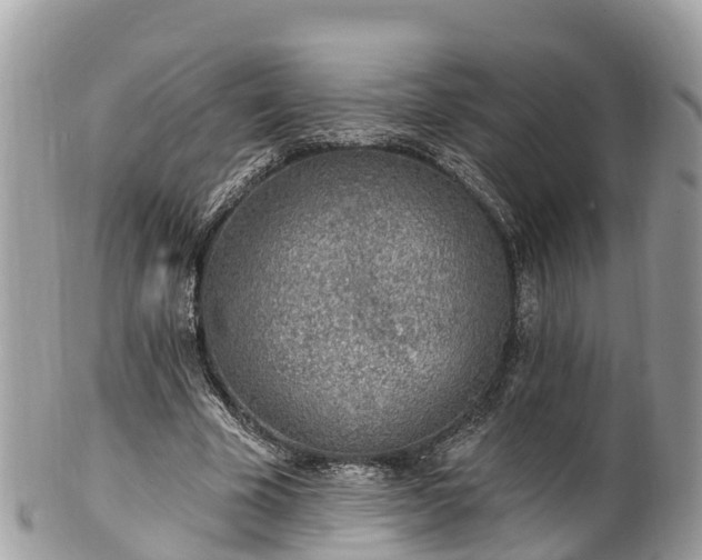 X0000101180585200807071247