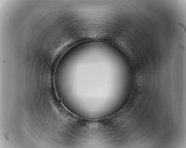 X0000101180587200807071247