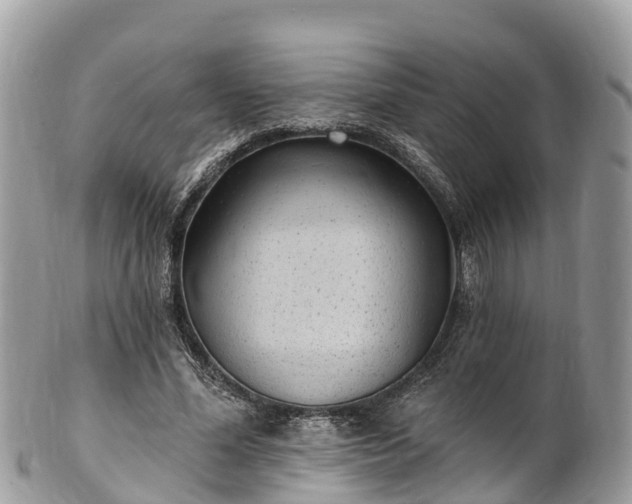 X0000101180588200807071247