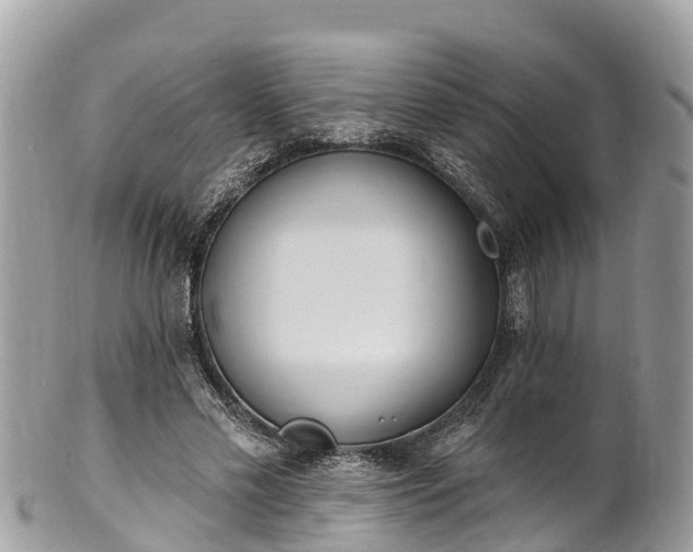 X0000101180589200807071247