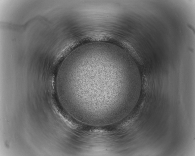 X0000101180590200807071247