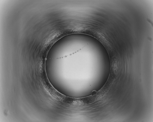 X0000101180591200807071247