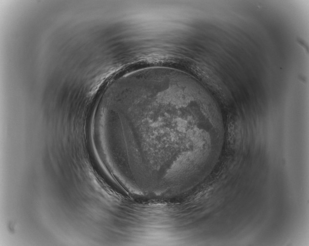 X0000101180592200807071247