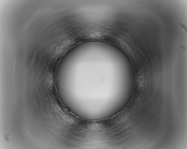 X0000101180593200807071247