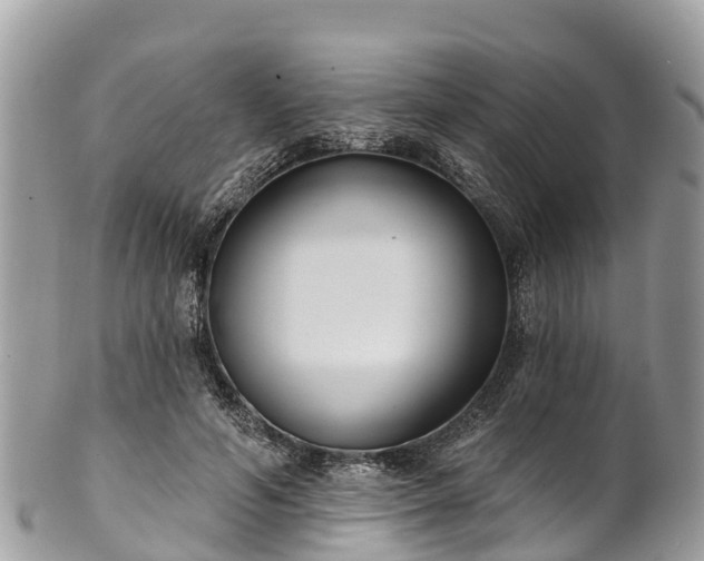 X0000101180594200807071247