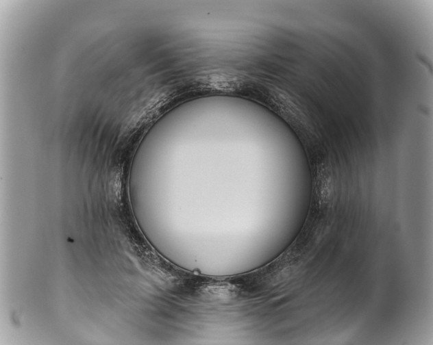 X0000101180595200807071247