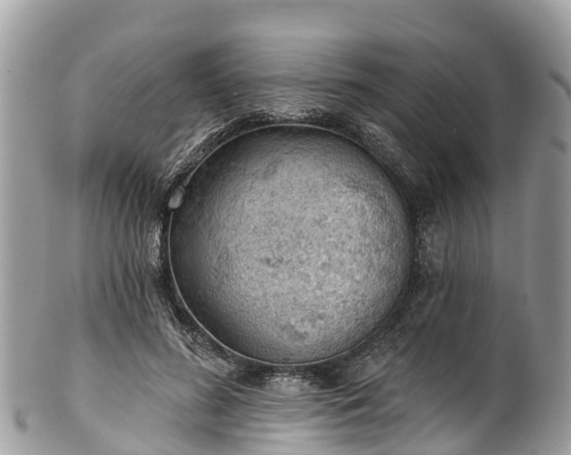 X0000101180596200807071247