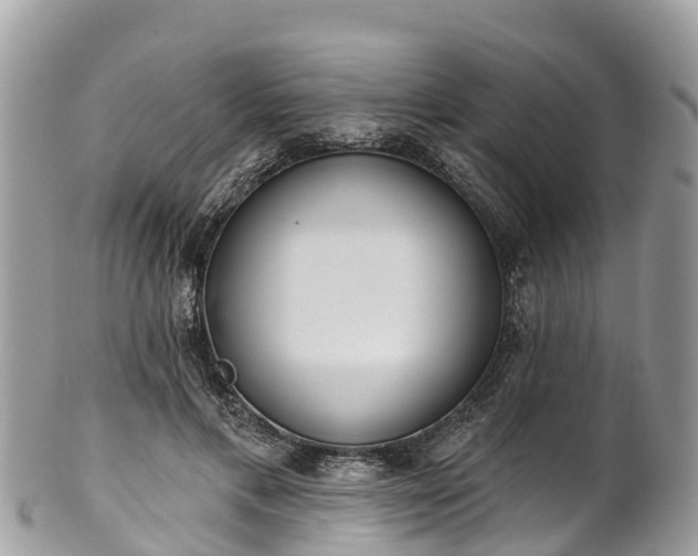 X0000101180597200807071247