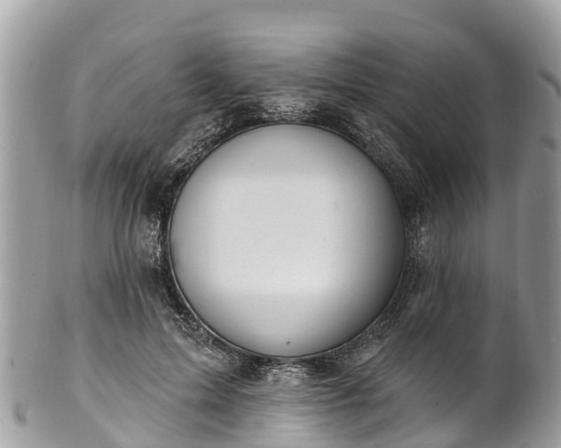 X0000101180599200807071247