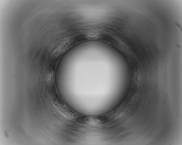 X0000101180601200807071247