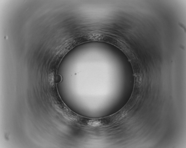 X0000101180602200807071247