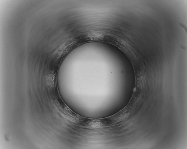 X0000101180604200807071247