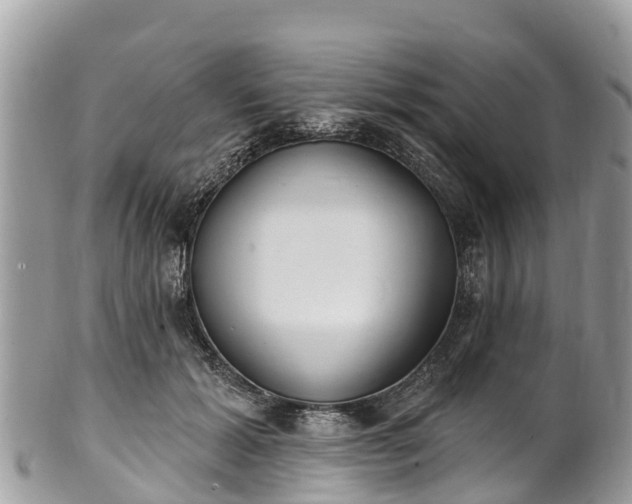 X0000101180605200807071247