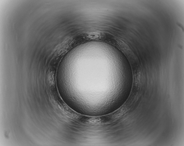 X0000101180606200807071247
