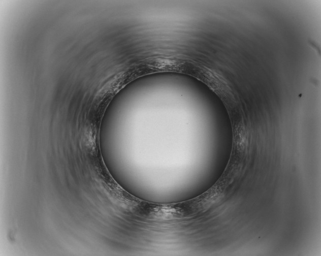 X0000101180607200807071247