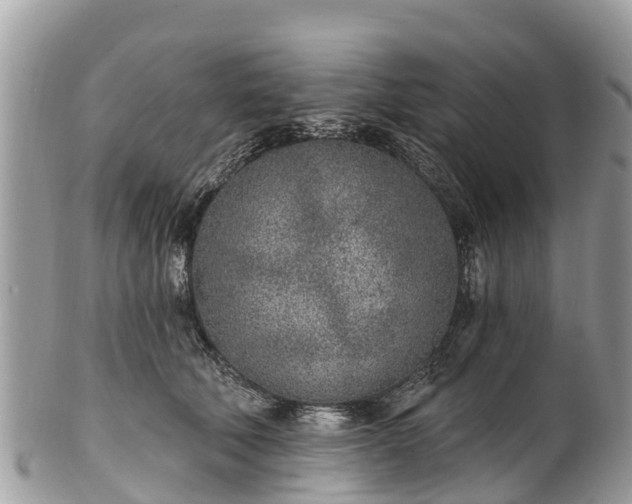 X0000101180610200807071247