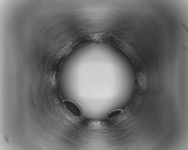 X0000101180611200807071247