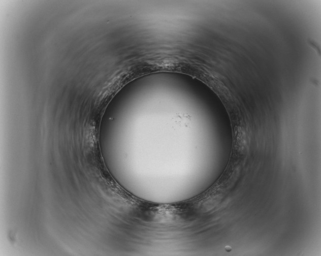 X0000101180612200807071247