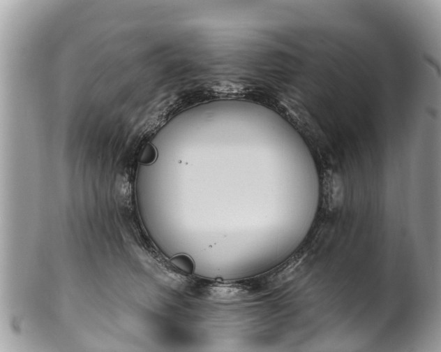 X0000101180614200807071247