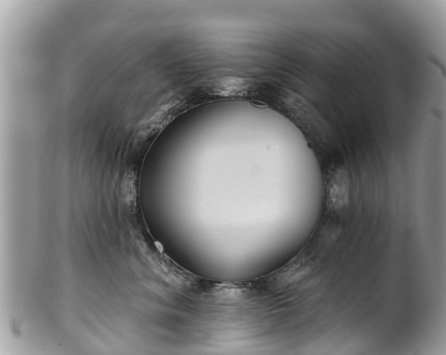 X0000101180620200807071247